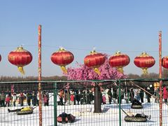 -北陵公园
