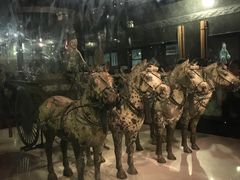 -骏途旅游