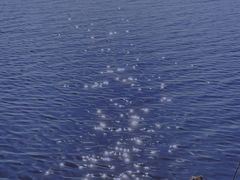 -漕湖湿地公园