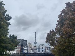 -一兰拉面(新宿中央东口店)
