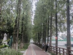 -蜀绣公园
