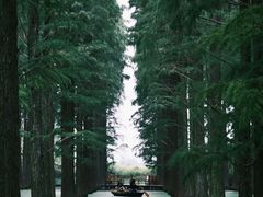 -渌洋湖湿地公园