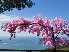 -鹿回头风景区