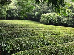 -敬亭山风景名胜区