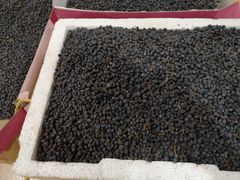 -华山御温泉度假村