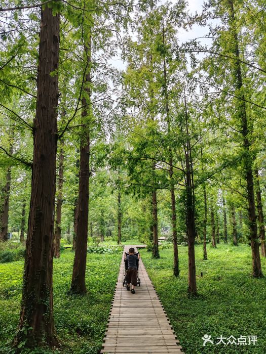 国家植物园南园图片