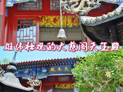 -白洋淀风景区