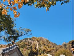 -潭柘寺景区