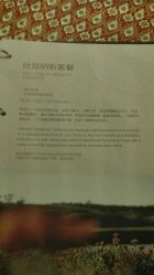 点击看大图 -iSpa