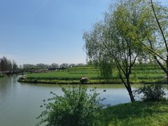 -乌村