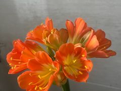 -金玉满堂潮州酒楼(无限极荟购物广场店)