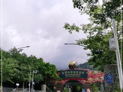 -东部华侨城