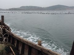 iphone_upload_pic-兴旺渔家
