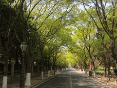 -八大关景区
