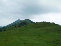 -大姆山草场