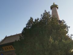 -张掖大佛寺景区