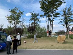 -上海长兴岛郊野公园