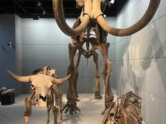 -浙江自然博物院(杭州馆)