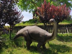 -自贡恐龙博物馆