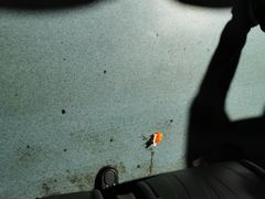 -大地影院(宁波培罗成店)