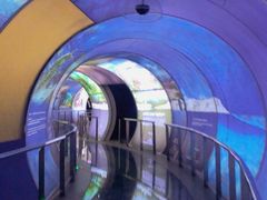 -房山世界地质公园博物馆