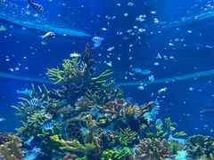 -北海海底世界