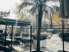 -the rug 飞毯 (朝阳公园店)