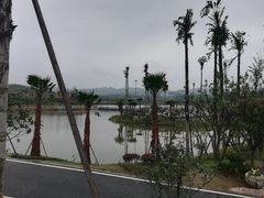 -枫香湖儿童公园