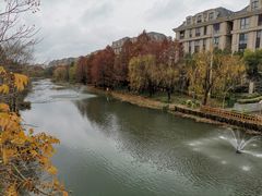 -新江湾城公园
