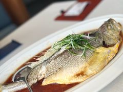 -闽海肴(北辰荟店)