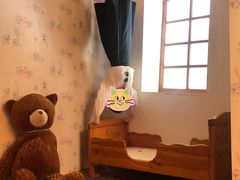 -金山农民画村-枫泾波兰倒置屋