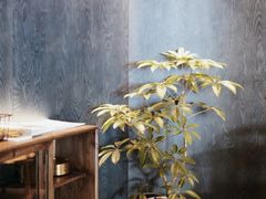 -SHAN山(前滩太古里店)