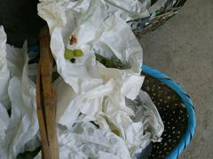 -马陆小张葡萄园农家乐