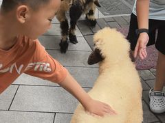 -深圳野生动物园