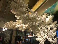 -付掌柜在成都·热炒砂锅集(金禾店)