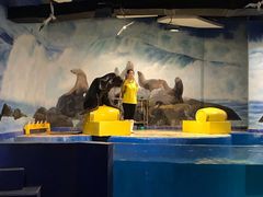 -梦幻海洋王国(吾悦广场张家港店)