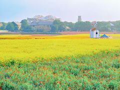 -江苏三台山国家森林公园