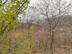 -鬼笑石后山停车场