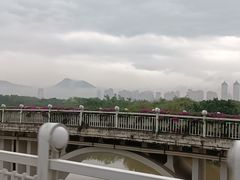 -厦门园林博览苑