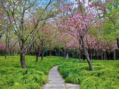 -中山公园