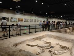 -洛阳周王城天子驾六博物馆