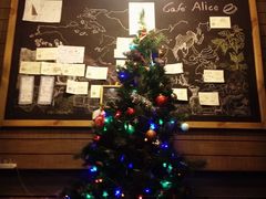 -Cafe Alice咖啡爱丽丝(奥城店)