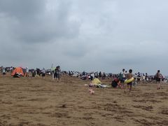 -日照海滨国家森林公园