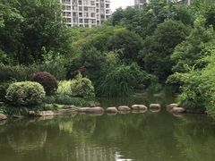 -新湖明珠城