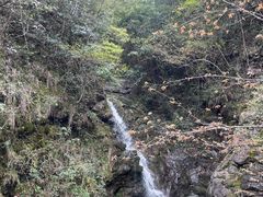 -百杖潭景区