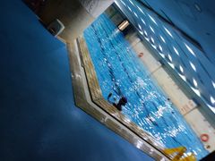 -齐汇维景大酒店游泳馆(山东政协大厦齐汇维景)