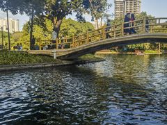 -晓港公园