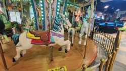 点击看大图 -卡通尼·Safari非洲探索乐园·生日会(金桥国际商业广场店)