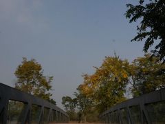 -白鹭湾湿地公园