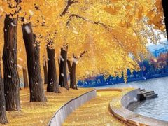 -怡心阁·水疗SPA(天府广场店)
